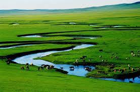 Xilingol Grassland 